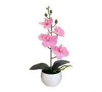 Bonsái de orquídea mariposa artificial de cuatro flores en maceta redonda pequeña para baño, sala de estar, oficina, estilo (rosa)