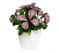 Bonsái de orquídea Phalaenopsis de plástico, 18 cm, resistente a la