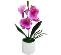 Bonsái de plástico de orquídea Phalaenopsis de 26 cm, diseño realista