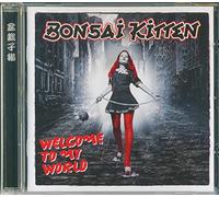 Bonsai kitten - Welcome to my world