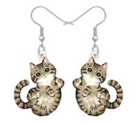 BONSNY Adorable Lindo Suerte Tabby Gato Pendientes Colgante, Diseño de Dibujos Animados, Acrílico Joyería para Mujeres Niñas Gatito Amantes Regalos Novedad Diversión Hipoalergénico Charms (Marrón)