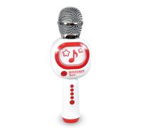 BONTEMPI - Micrófono Inalámbrico con Altavoz Función Karaoke Efecto Cambiador de Voz Control de Volumen y Selección de Pistas Ranura Micro SD USB Tipo-C 80x240x65 mm