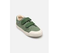 Bonton IZY SCRATCH 28 Verde