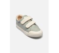 Bonton IZY SCRATCH 31 Verde