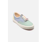 Bonton SKATE ELAST 30 Multicolor