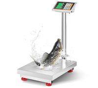 Bonvoisin Báscula de Plataforma Industrial 300kg/0,1kg con Plataforma de Acero Inoxidable (52x42cm), Alimentación por Red/Batería, Báscula Suelo Resistente al Agua para Paquetes, Equipajes y Cartones