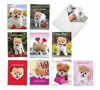 Boo My Valentine: 10 surtidos de notas del día de San Valentín con amor de Boo el perro más cortado del mundo, con sobres. AM6754VDG-B1x10