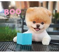 Boo. The Life Of The Cutest Dog: The Life of the World's Cutest Dog (Halloween Books for Kids, Halloween Books for Toddlers, Cute Halloween Stories)