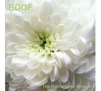 Boof - The Hydrangeas Whispers