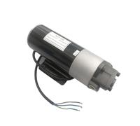 BOOGHIGC Bomba hidráulica de Engranajes NLP eléctrica diésel CC 12V 24V lubricación con Aceite(Motor with Bracket)