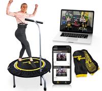 Boogie Bounce Studio Rebounder - Cama elástica doble plegable y súper silenciosa para adultos y niños, nueva aplicación móvil y entrenamientos en línea cada mes, mango ajustable y límite de peso 20