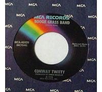 Boogie Grass Band / That's All She Wrote [Vinyl Single 7'']