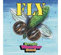 Boogie Wonder Band - Fly