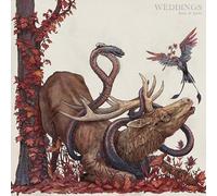 Book Of Spells [Vinilo]