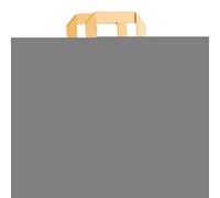 Book Tote Bag, Funny Animal File Case, Large-Capacity Waterproof Zippered Bag for Girls, Students, Kids, Work, Travel, Vacation, Beach, Daycare, 13.78x10.63 inches, Yellow and Brown