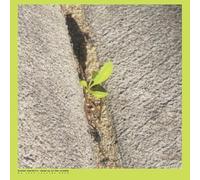 Booker Stardrum - Close-Up On The Outside [Vinilo]