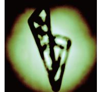 Boom Boom Satellites - Back on My Feet