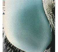 Boom Boom Satellites - Fog Bound [Vinilo]