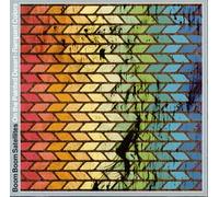 Boom Boom Satellites - on The Painted Desert [Import]