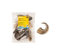 Boomy - Ramhorn - Bocadillo natural extra duro para perros - Golosinas hipoalergénicas para masticadores fuertes - 350g