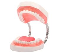 Booso Dientes boca modelo 6X ampliados con bisagra de metal, juego completo de dientes y lengua extraíble, herramienta de terapia del habla de PVC, fácil de usar, mano de obra fina