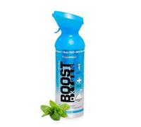 Boost Oxygen - Botella de Oxígeno Portátil - Lata de Oxigeno 95% Puro y Natural - Concentración, Recuperación, Energía, Estado de Ánimo, Grande - 9L (1x Envase - 150 Inhalaciones) - Menta