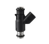 Boquilla De Pulverización De Inyector De Combustible For Motocicleta, Enchufe Largo, 2 Orificios, 170CC, Compatible con Delphi, Pieza De Repuesto De Motocicleta De Un Solo Cilindro Tipo IV 200