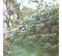 Boquilla de ventilador de riego agrícola y de jardín con diseño de ahorro de agua de alta presión y múltiples configuraciones de agujeros para refrigeración de invernadero y exterior (agujero único K