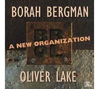 Borah Bergman/Oliver Lake - A New Organisation