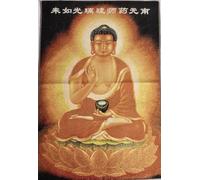 Bordado de Seda Tibetano Thangka Budismo Menla Buda de la Medicina Tangka Asiento Colgante de Pared para decoración del hogar Tapiz