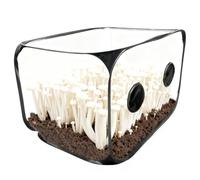 BORDEAG Still Air Box Mushroom Grow Box, caja de aire de lactancia para setas, 60 x 60 x 90 cm, estaciones de cultivo, juego de carpa para cultivo de hongos, juego de cultivo de hongos plegable para