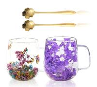 BORDEAG Tazas De Café De Vidrio De Flores Secas,Juego De 2 350 ML Vaso Doble ParedZ Con Cuchara,Taza De Café De Doble Pared,Vasos Doble Pared Transparente Para Té,Cerveza,Café Helado,Leche