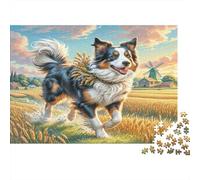 Border Collie 1000Pc Puzzle for Adults Border Collie in Field for The Whole Family Women, Gifts for Men 52x38cm/1000pcs