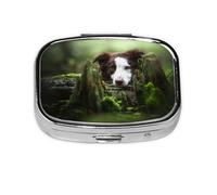 Border Collie Bosque Piedra Dulce Marrón Perros Mascotas, Pastillero cuadrado para bolsillo o monedero, pequeño contenedor de pastillas, organizador de pastillas de viaje