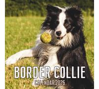 Border Collie Calendar 2026: 14-Month Organizer from Nov 2025 to Dec 2026 | Perfect for Home, Office, School & Family Scheduling, For Men , Women , Girls , Boys