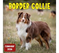 Border Collie Calendar 2026: A Year of Sniffs, Snoozes, and Cuddles