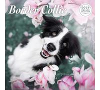 Border Collie - Calendario de lujo 2026
