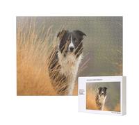 Border Collie Césped Mascotas Borde Blanco Negro,Rompecabezas de Madera de 500 Piezas, Juego Familiar, Rompecabezas para Adultos, Adolescentes, decoración del hogar