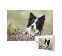 Border Collie Césped Negro Border Collie Mascotas,Rompecabezas de Madera de 300 Piezas, Juego Familiar, Rompecabezas para Adultos, Adolescentes, decoración del hogar