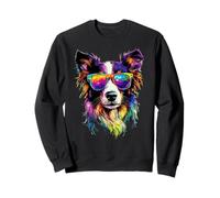 Border Collie con Gafas de Sol Cachorro Perro Border Collies Sudadera
