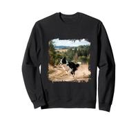 Border Collie Correr Camino Acción Bosque Paisaje Escena Sudadera