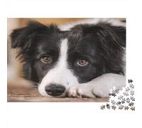 Border Collie Dog 100% Recycled Cardboard Border Collie Puppy 1000 Piece Adult Jigsaws For Adults & Kids Fun Home Activity 38x26cm/1000pcs