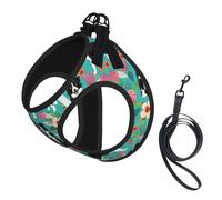 Border Collie - Juego de arnés y correa para perros pequeños, chaleco suave ajustable con correas reflectantes de 360° para gatos y cachorros