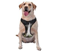 Border Collie Mascotas Border Collie Negro Hierba,Arnés para Mascotas, arnés Reflectante Ajustable para Perros,XL