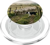 Border Collie Pastoreo Ovejas Campo Granja Escena PopSockets PopGrip para MagSafe