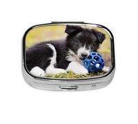 Border Collie Perros Cachorro Mascotas Borde Negro, Pastillero cuadrado para bolsillo o monedero, pequeño contenedor de pastillas, organizador de pastillas de viaje