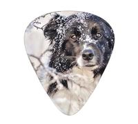Border Collie Perros negros blancos como la nieve en invierno,12 púas de guitarra, 3 grosores diferentes para guitarra acústica, bajo y ukelele