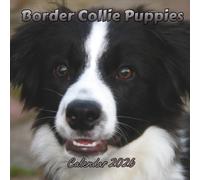 Border Collie Puppies Calendar 2026: Organizer For Home & Office From January to December For Men, Women