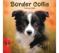 Border Collie Puppies - Mini calendario 2026
