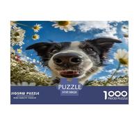 Border Collie Puzzle 1000 Piezas para La Familia-Rompecabezas Difícil, Apto para Adultos Y Adolescentes A Partir De 12 Años 38x26cm/1000pcs